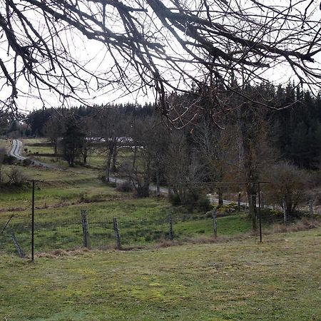 La Crova Villa Félines Екстериор снимка